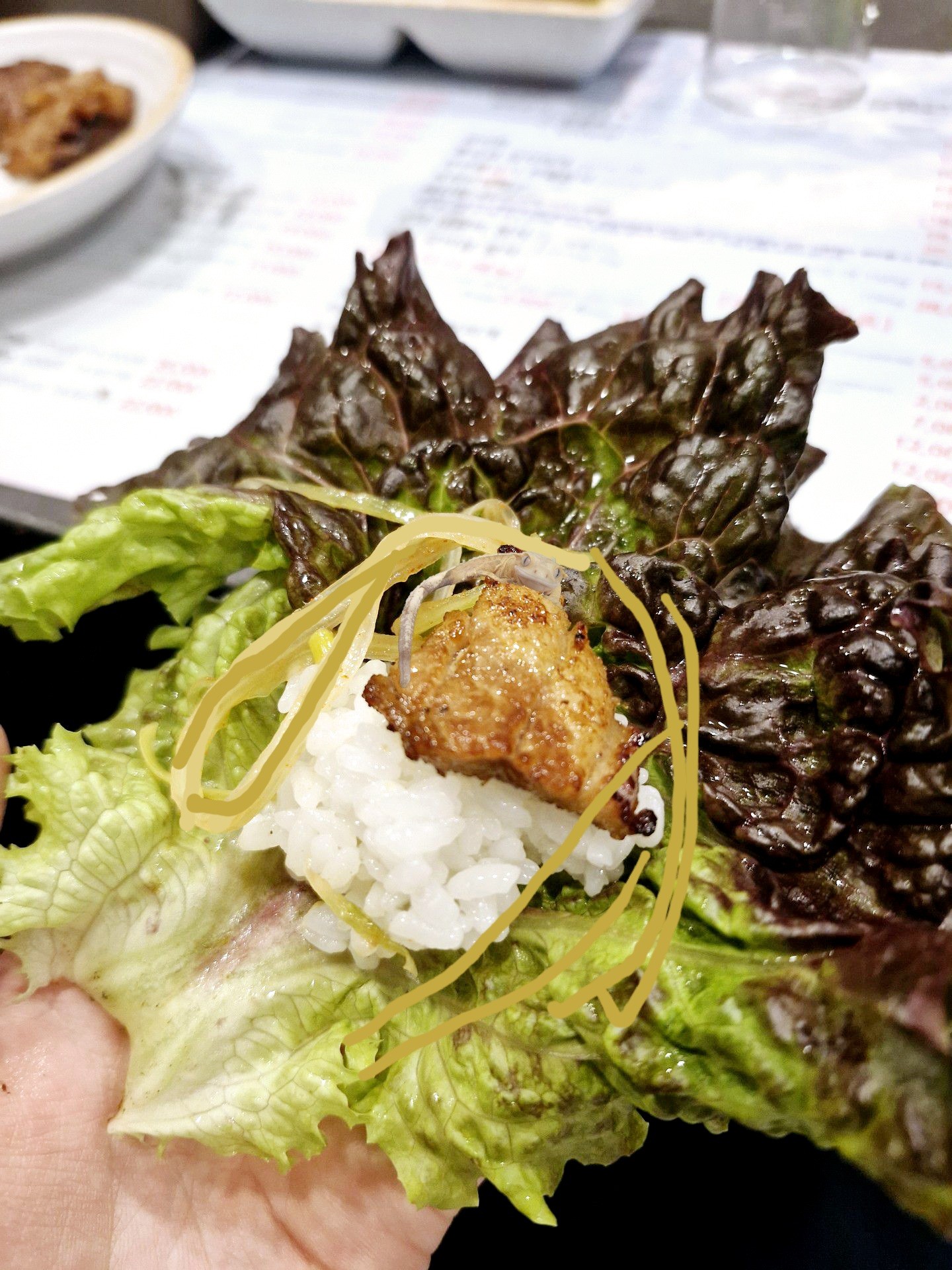 그 사이 도마뱀이 붙음