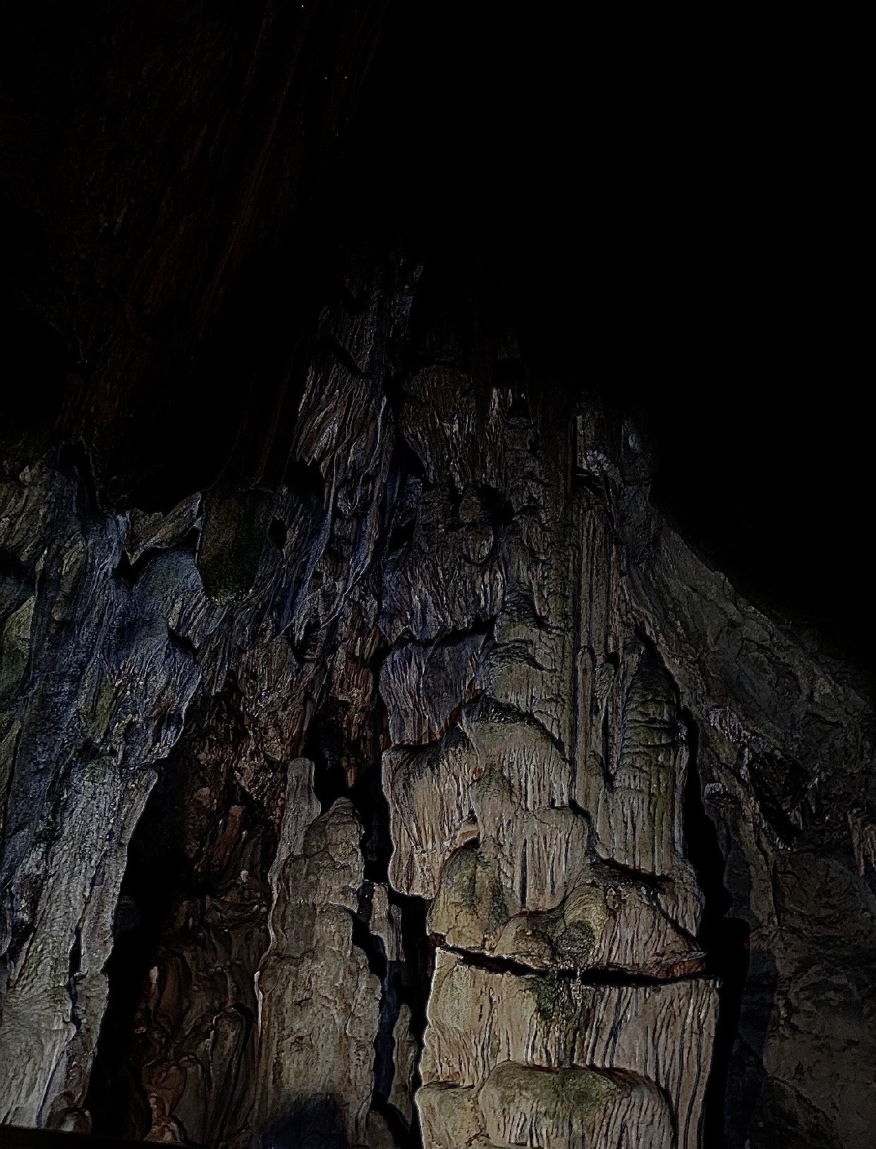 장하진 않아씀니다