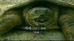잘자거라