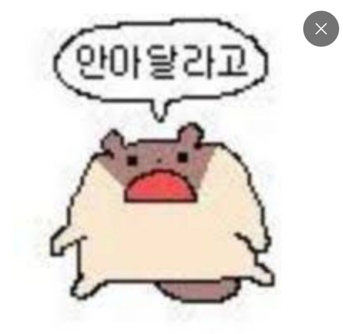 이 칭구요 제 최애에욤