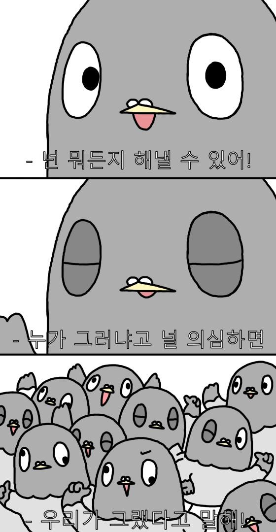 둘기임...근데 뭔일난거냐