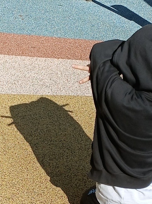 이거 될까요..??