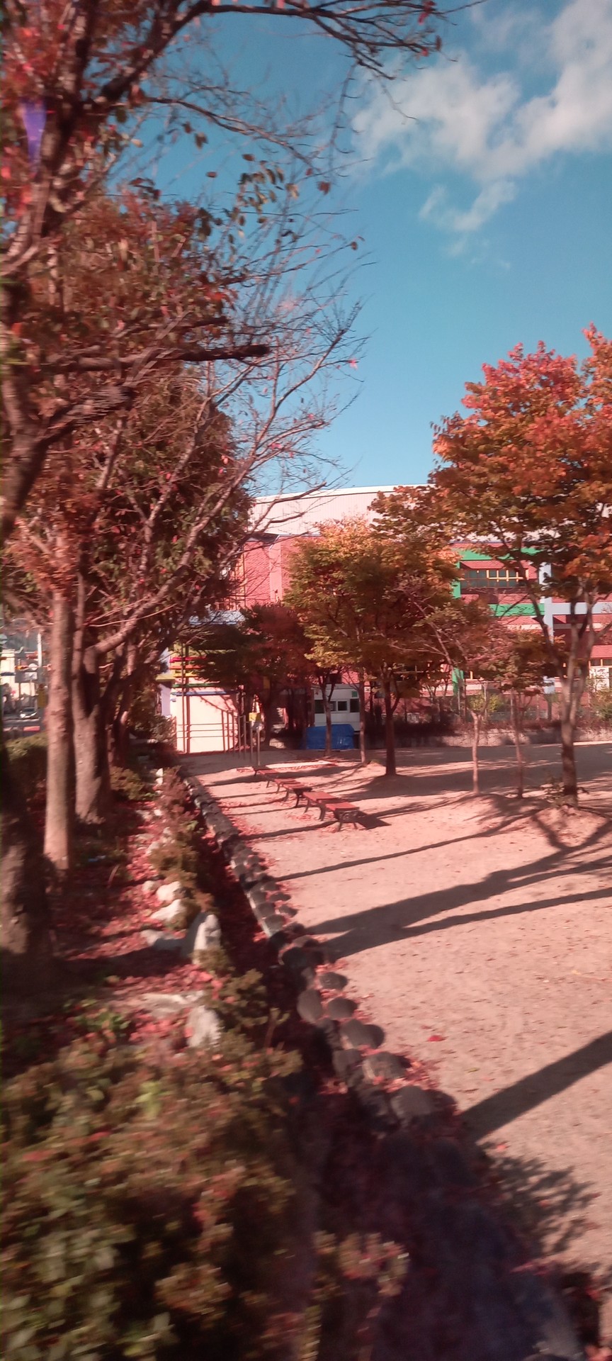 가을 사진이긴 해..