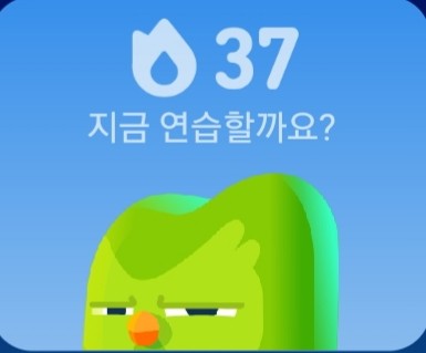 난 이럼
