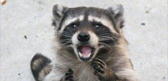 와 미쳤나봐 ㄷㄷ 