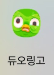 내 듀오링고ㅋㅋ