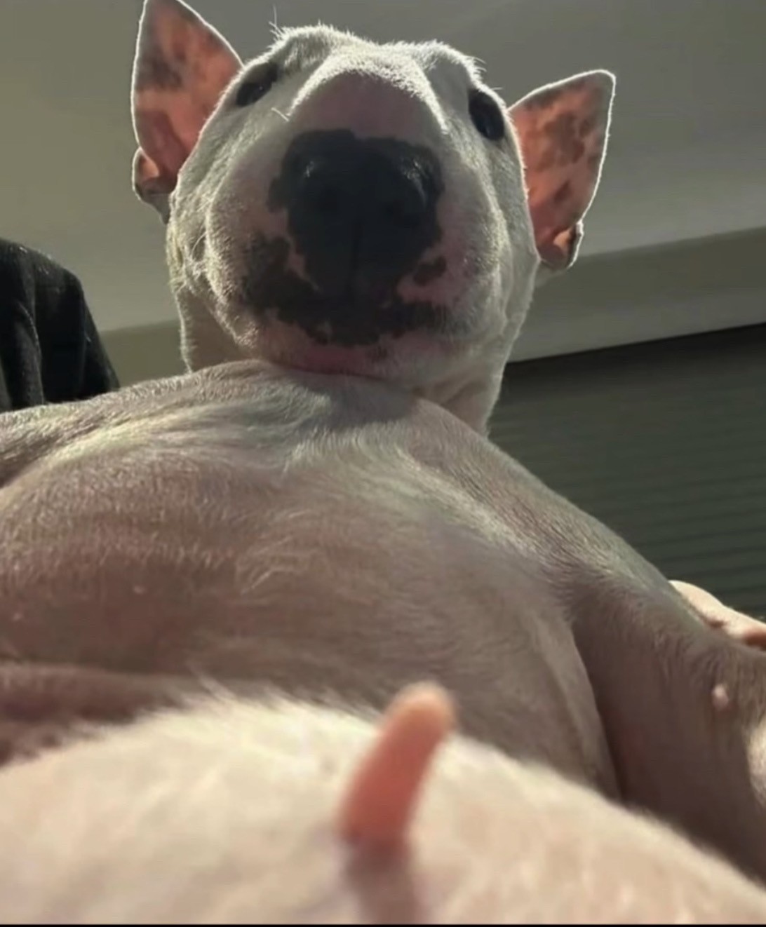 에궁..좋아하는 마음으로 열심히 노력했는데
그래두  그 노력은 헛되지 않았고
넌 스스로를 성장시킨 멋진 사람이야
 다 너의 값진 결과야 그래두 수학실력은 늘었자나 ㅎㅎ