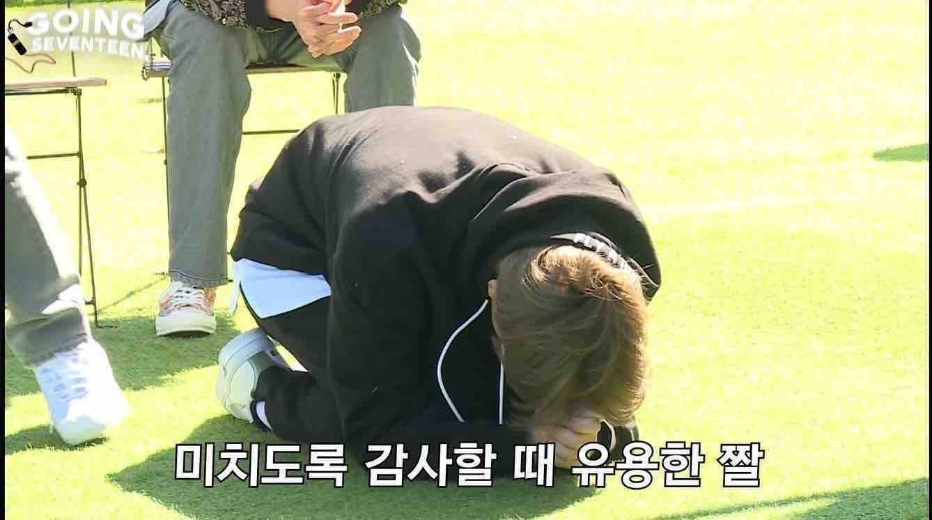 짤 줏어갑니다 줍줍