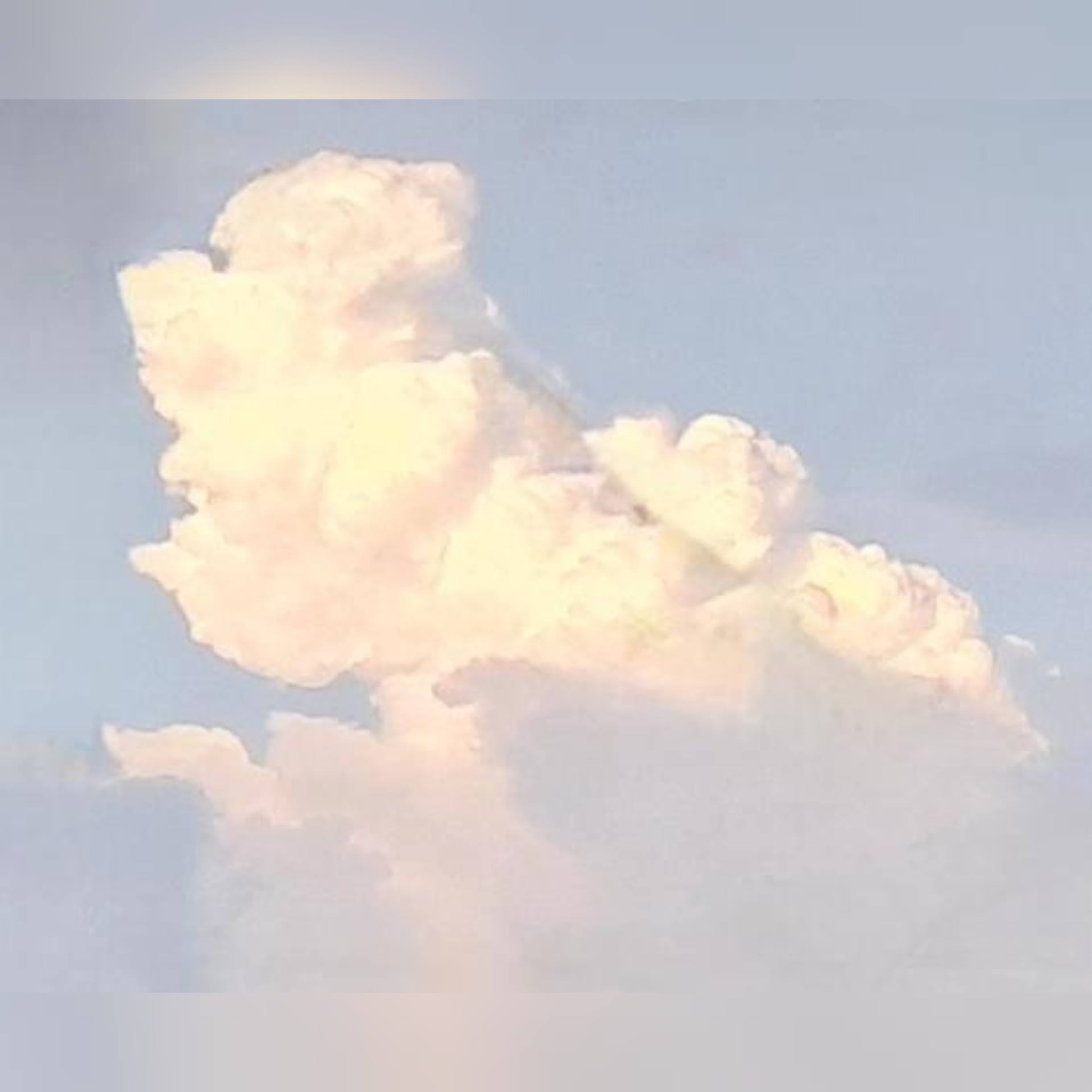 본인 전에 중등 채널에 이거 올렸다가 인기글 갔었음