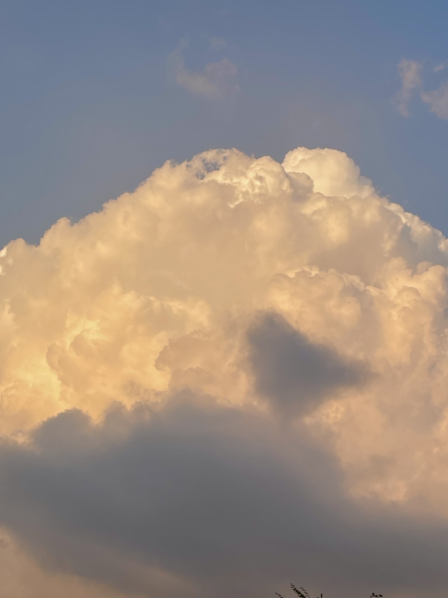 모양은 아닌데 진짜 색깔 저랫음