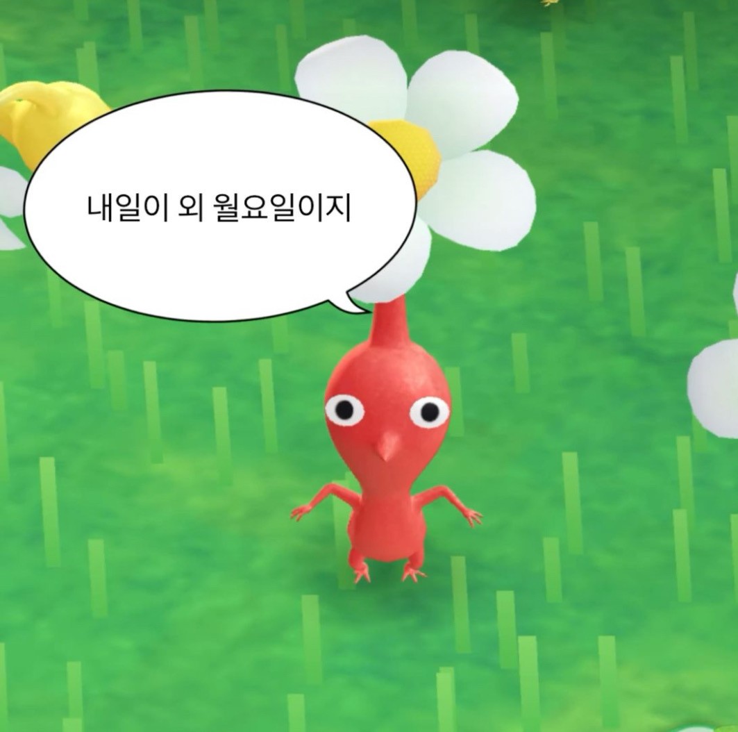 하나 더 찾았슨니다