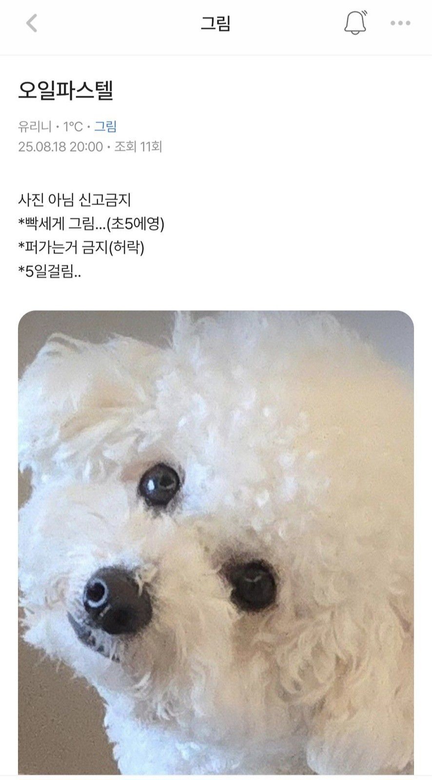 이거 캔버스나 종이 전체 보이게 찍어서 보여줘봐요