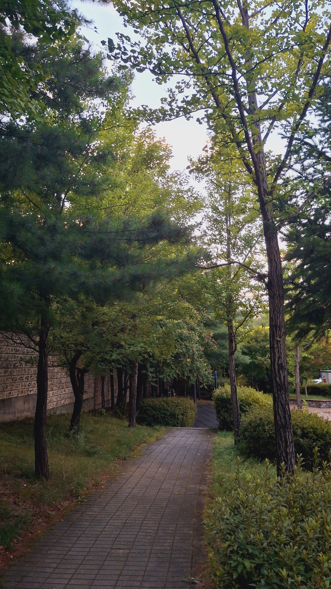 헐 진짜 예쁘게 잘한다,,! 내것도 맡겨도 될까?