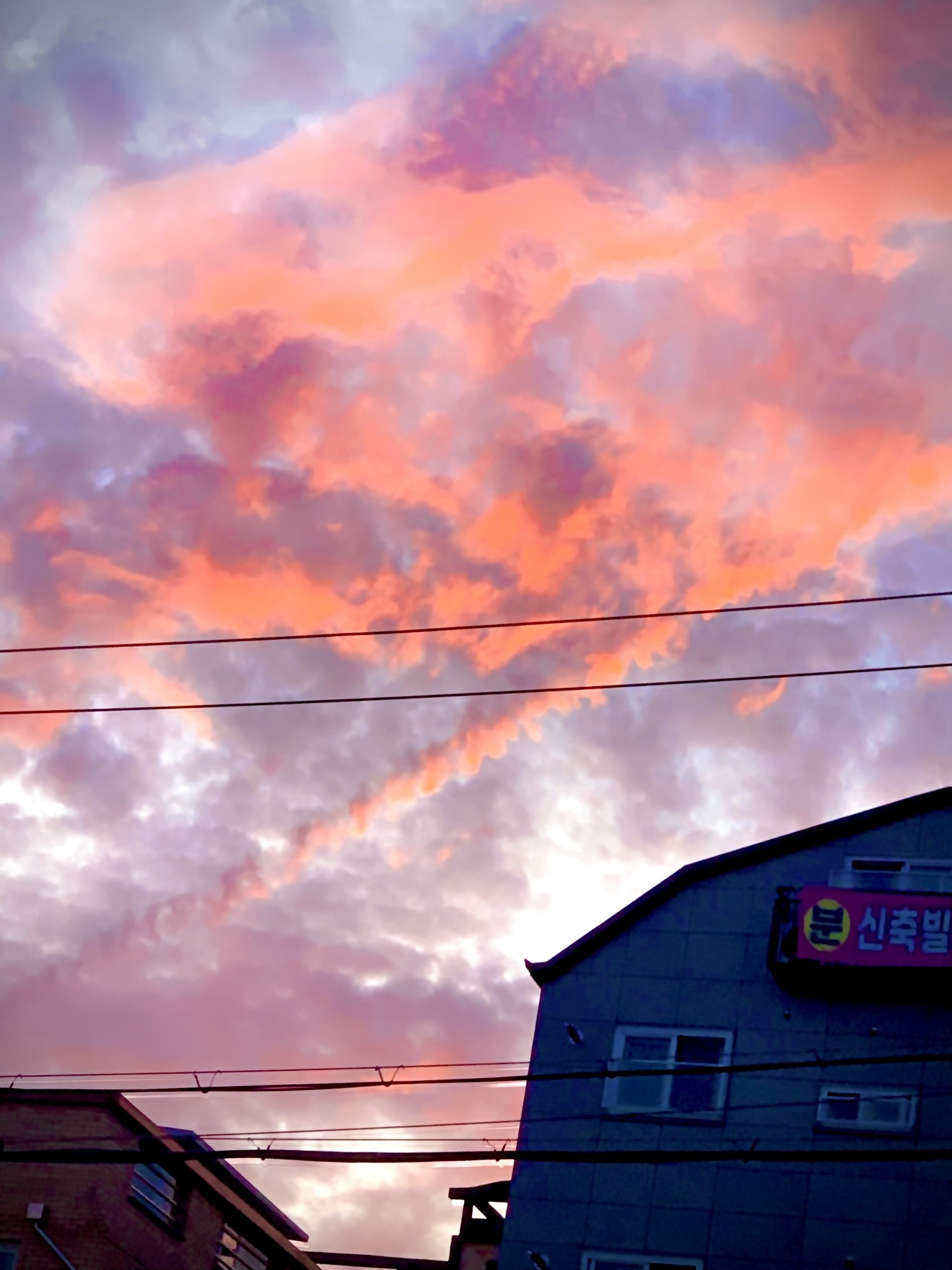 제가 ㅉㄱ은 사진이용