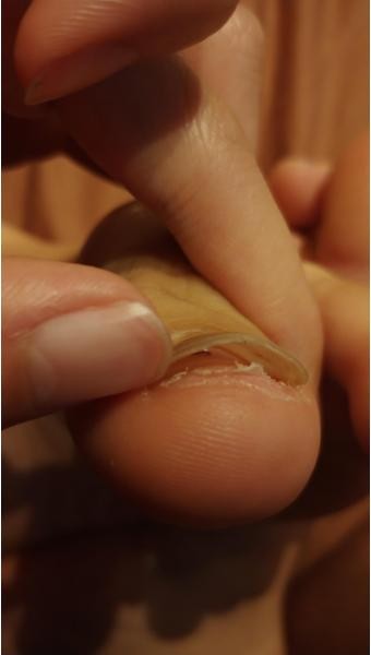 약간 이런느낍?