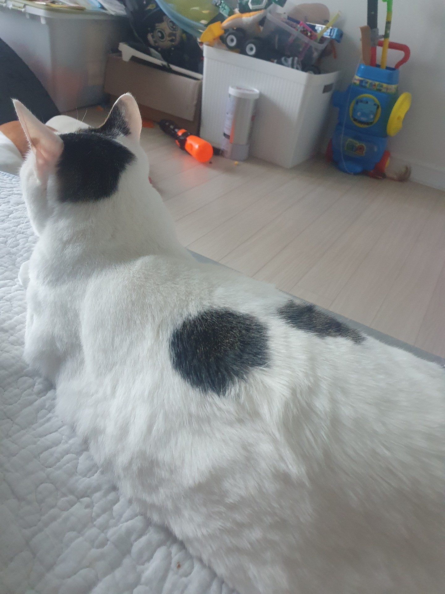 웃기게 부탁해요