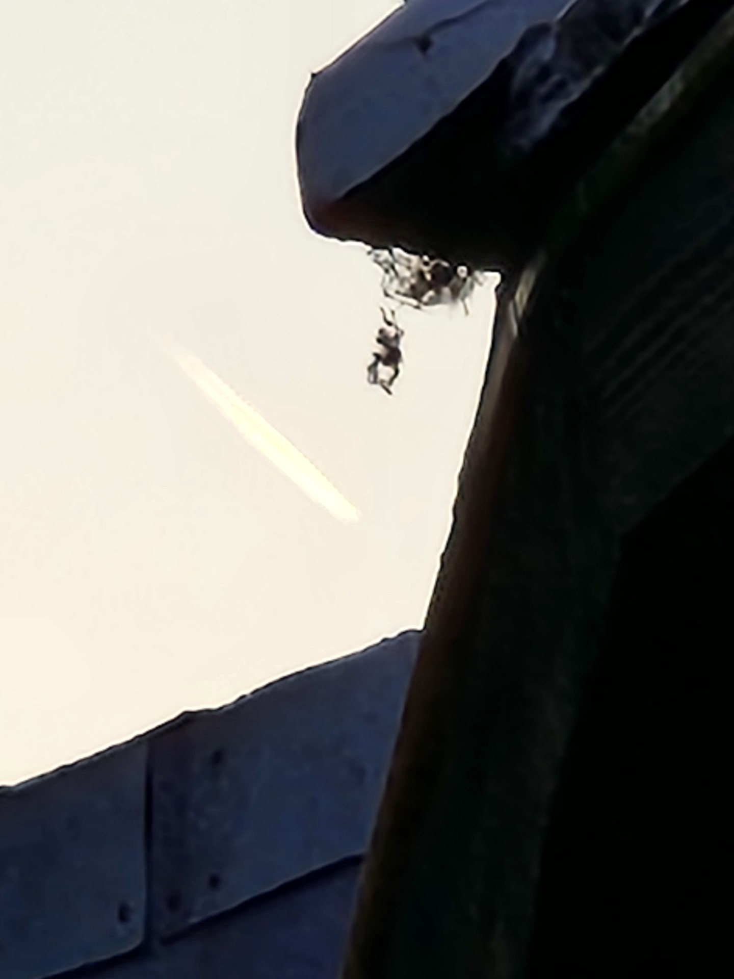 이거요 오늘 롯데월드 상황