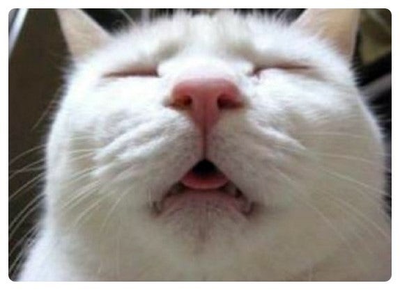 잘ㅈ...즈에에엣취