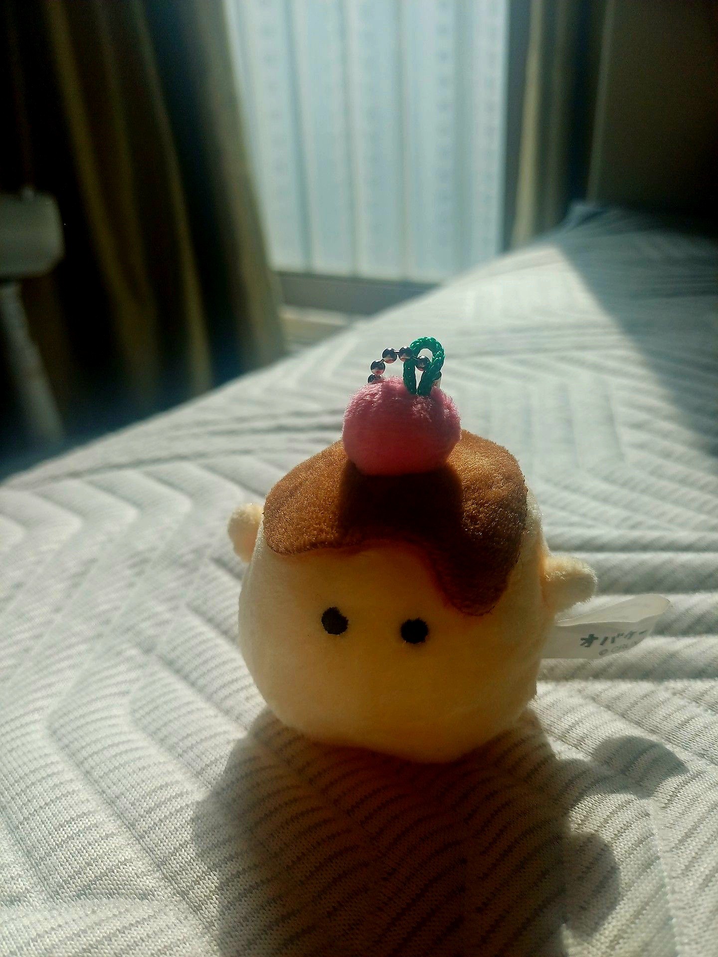 입가심 먼저 드리겠습니다.