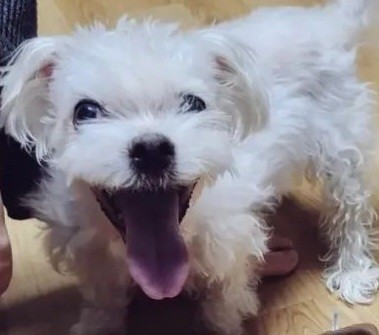 잘생긴 남캐다! 으흐흐