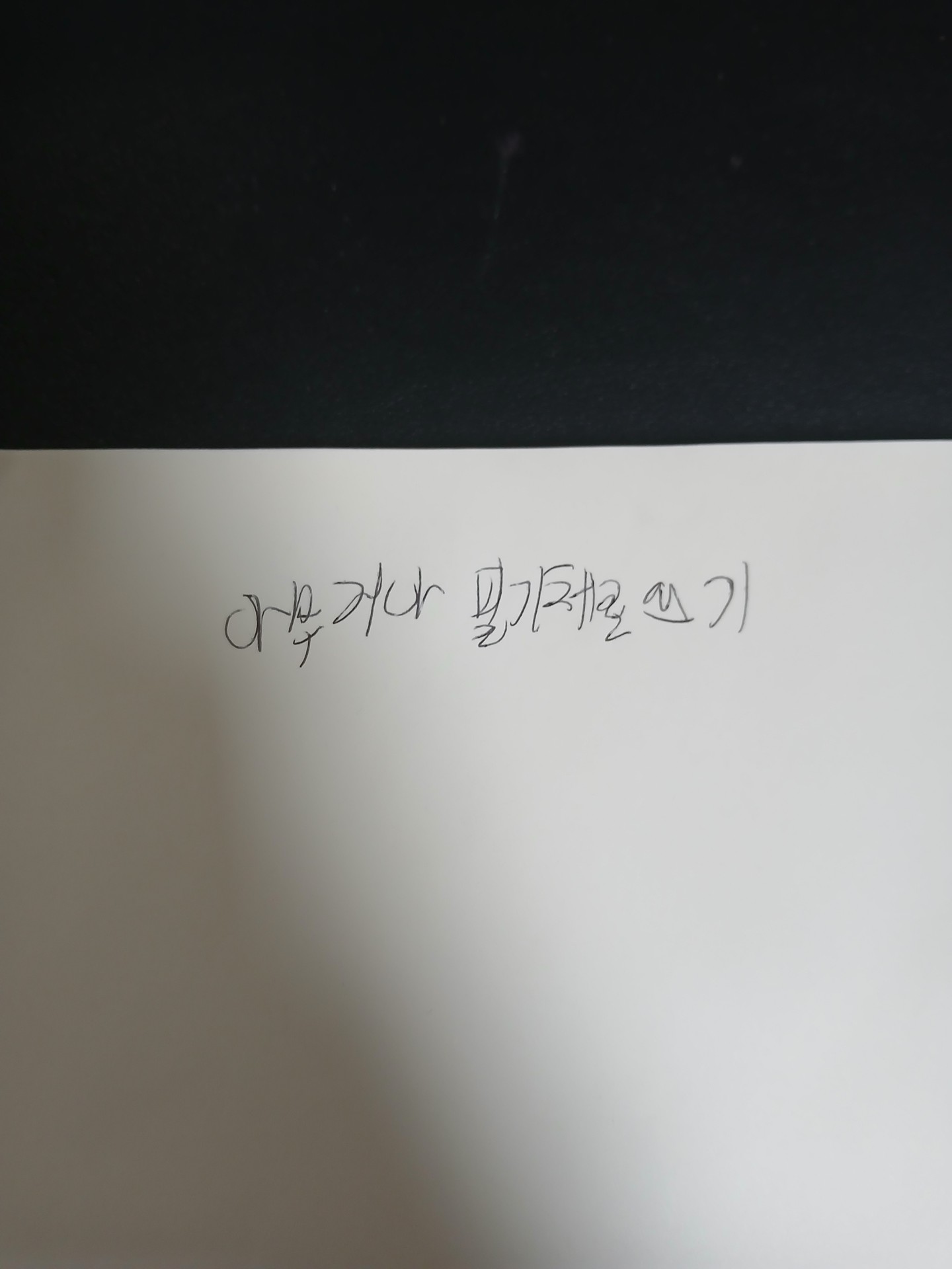 악필중에 악필이요...