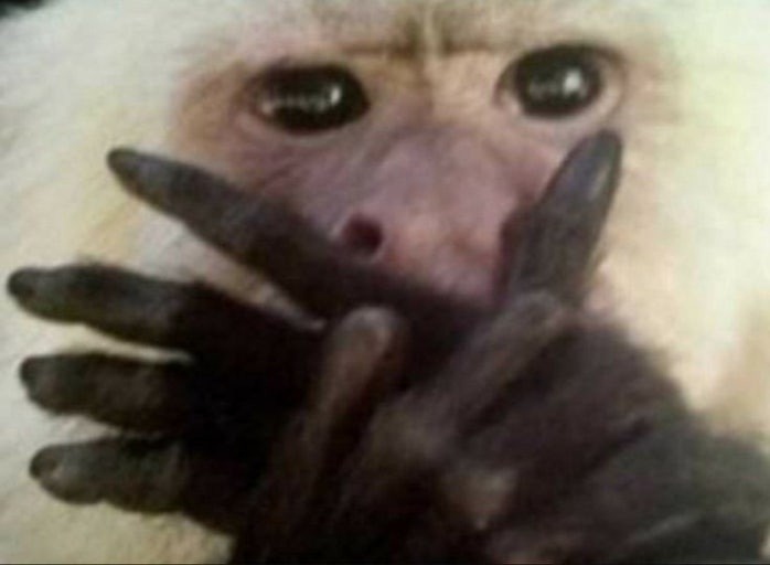 헉 귀엽다 ㅜㅜ