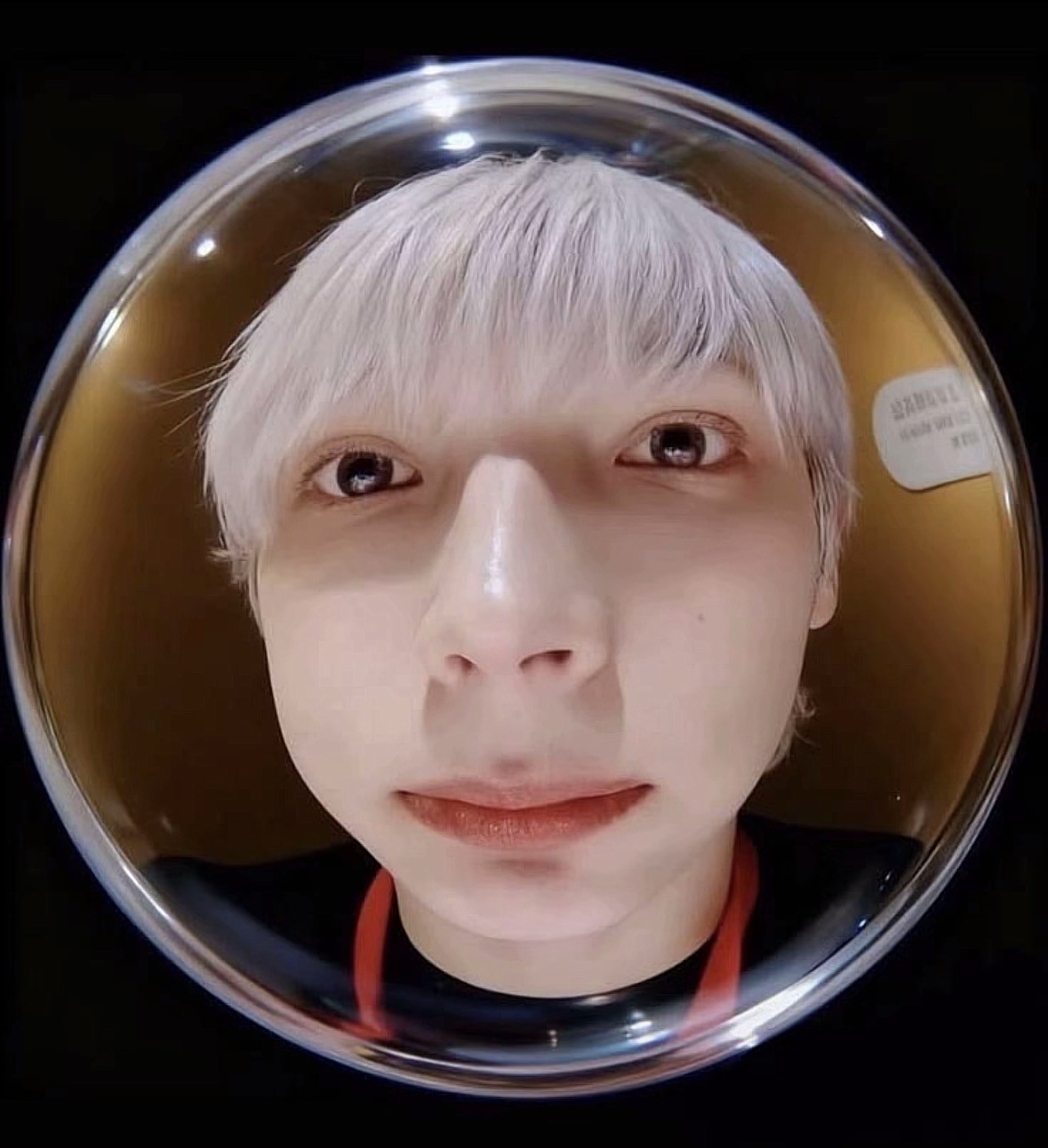 모아 오랜만에 봄ㅜㅜㅜ
체수빈이 최애임😏😏😏😏
최수빈!최연준!최범규!강태현!휴닝카이!
투모로우바이투게더!
(휴닝카이 귀여운 사진 올리기😏
아진짜 아무한테나 안주는데😏😏