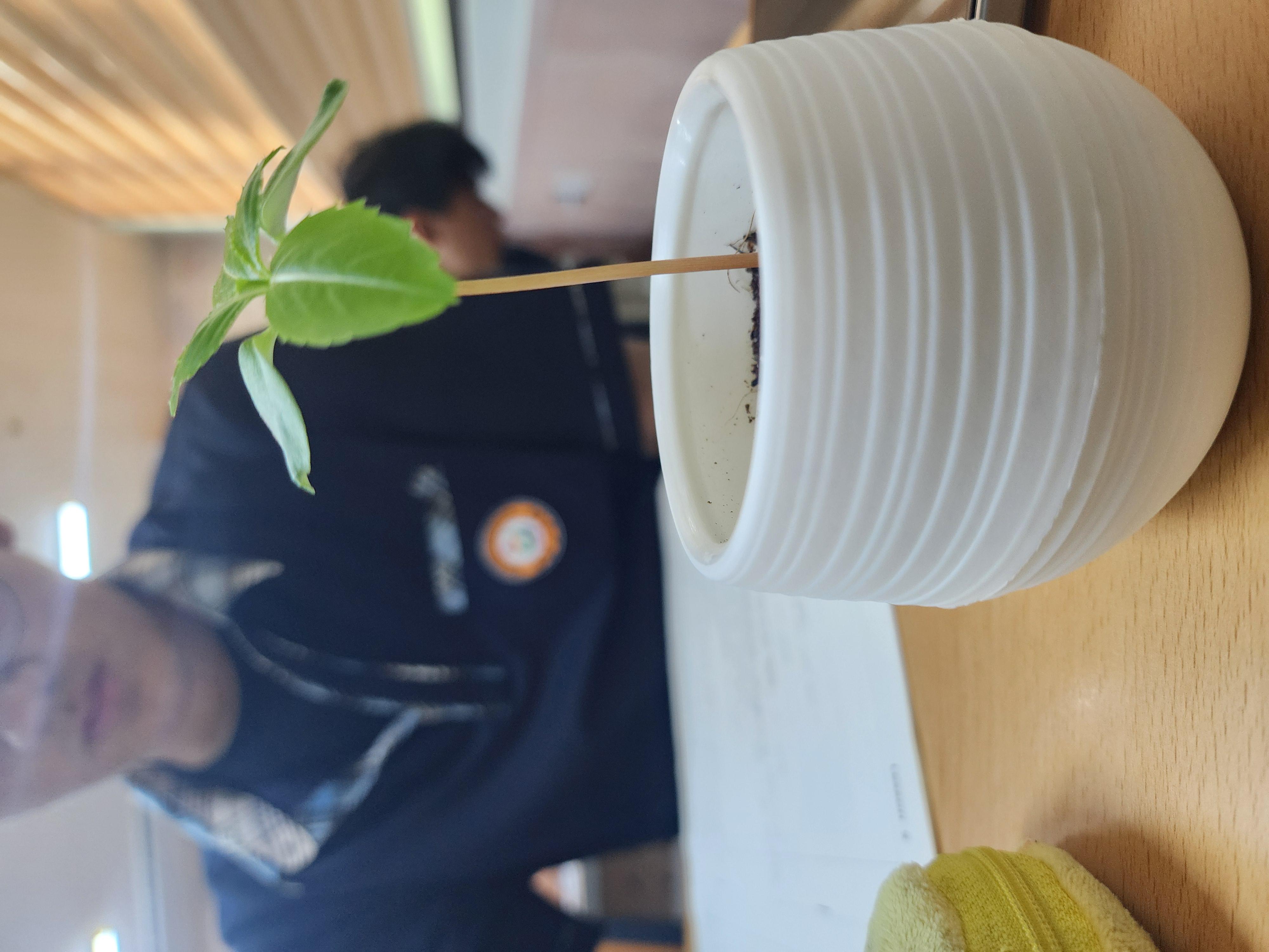 이명희비바잉글리쉬(vivaEnglish)학원 이미지 8