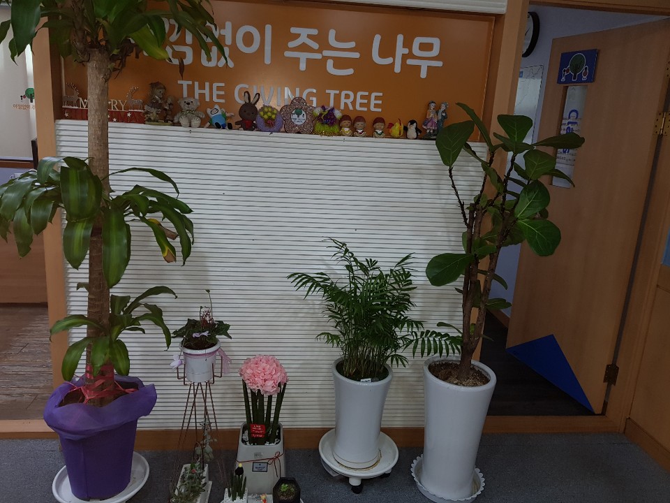 아낌없이주는나무독서토론논술학원 이미지 10