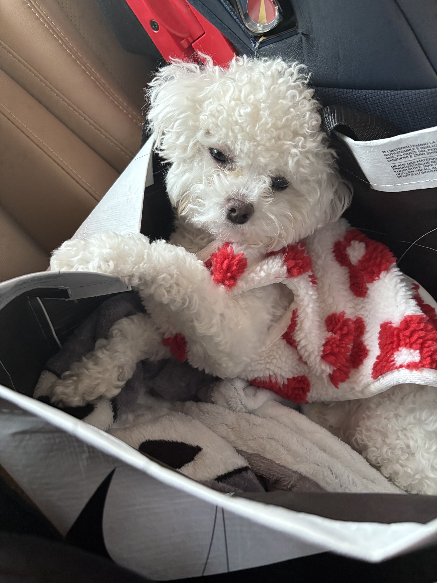 ㅋㅋㅋ 넌 왜이렇게 귀엽냐