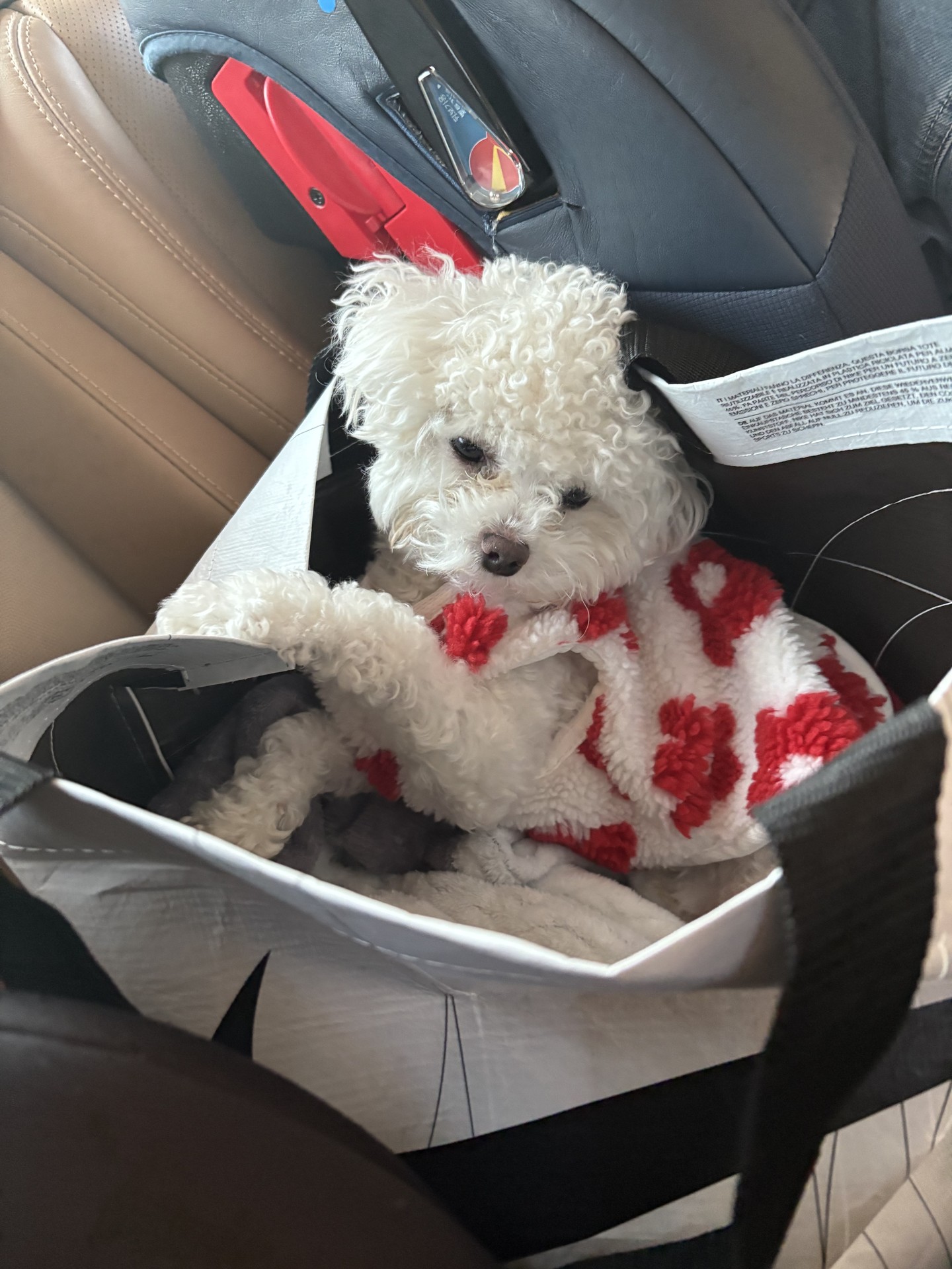 ㅋㅋㅋ 넌 왜이렇게 귀엽냐