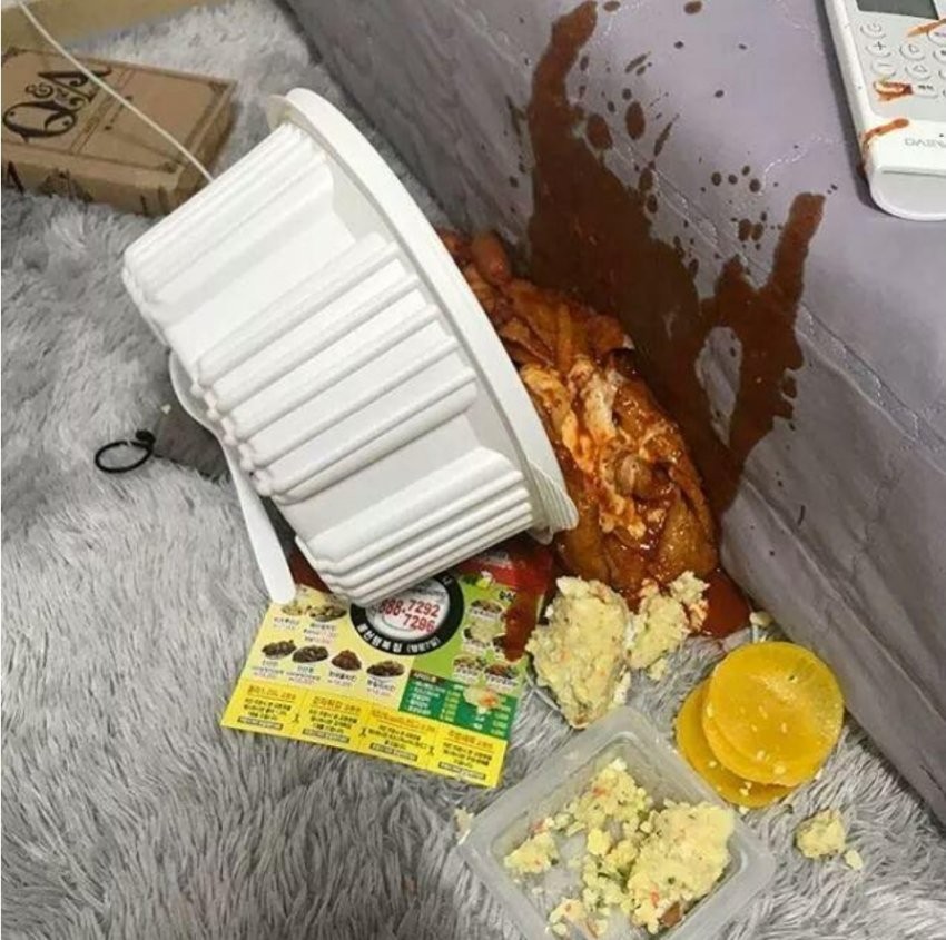 세상에서 가장 슬픈짤...
