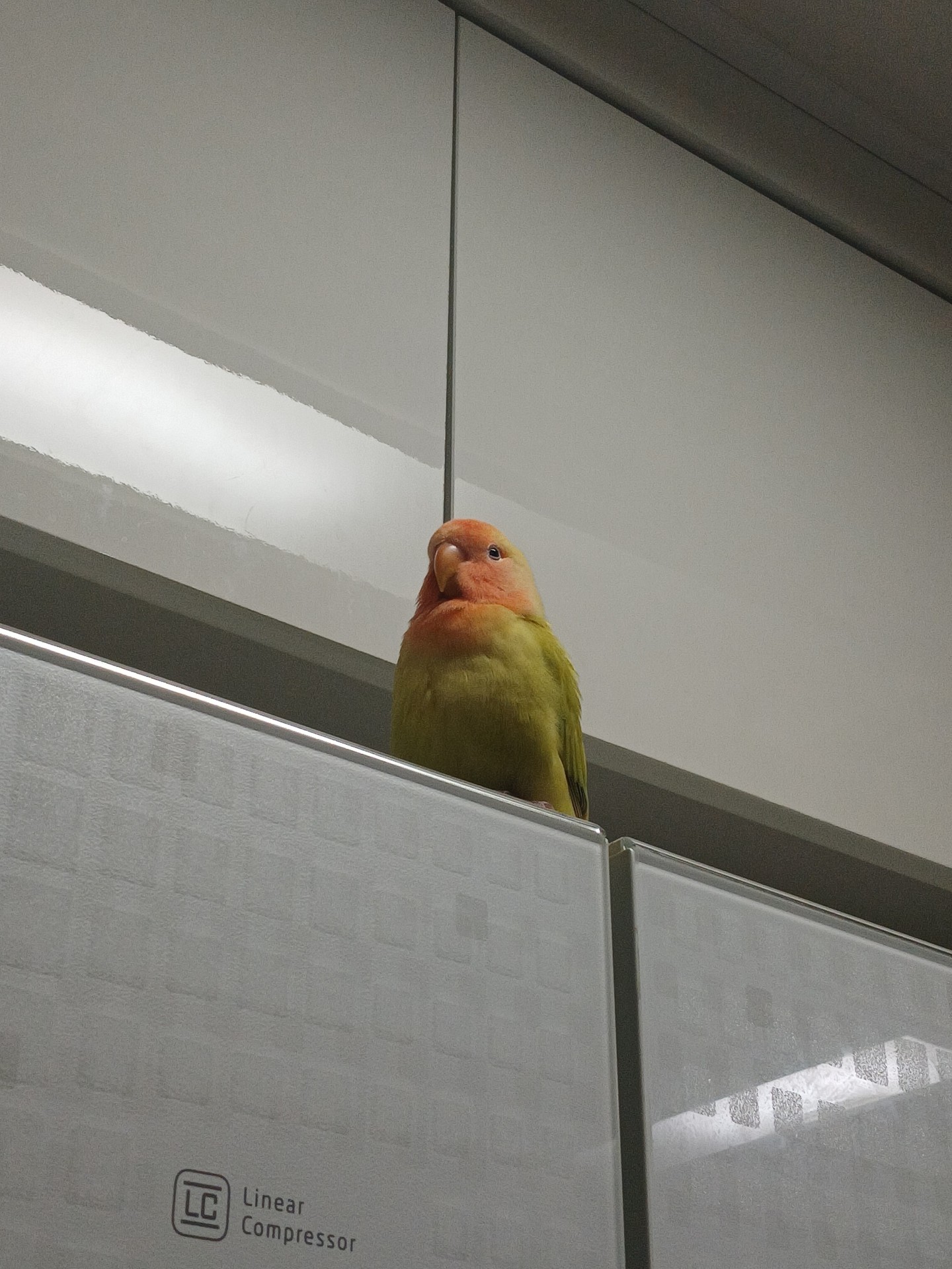 이름 추천좀요..