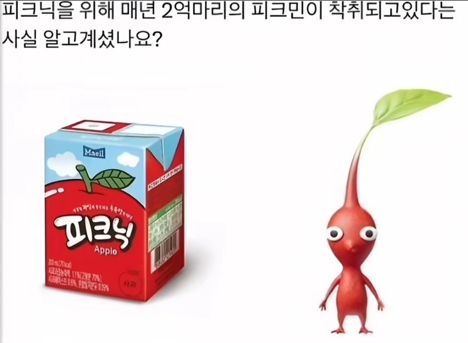 피크닉의 숨겨진 비밀...