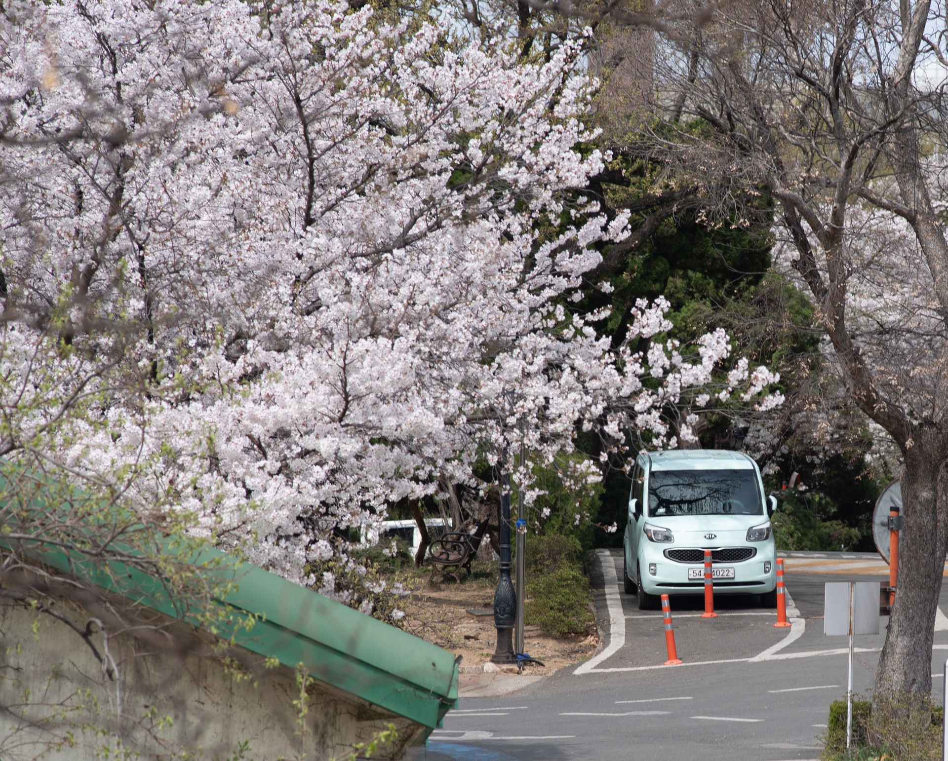 사진작가가 꿈인 사람이 찍은 사진✌🏻