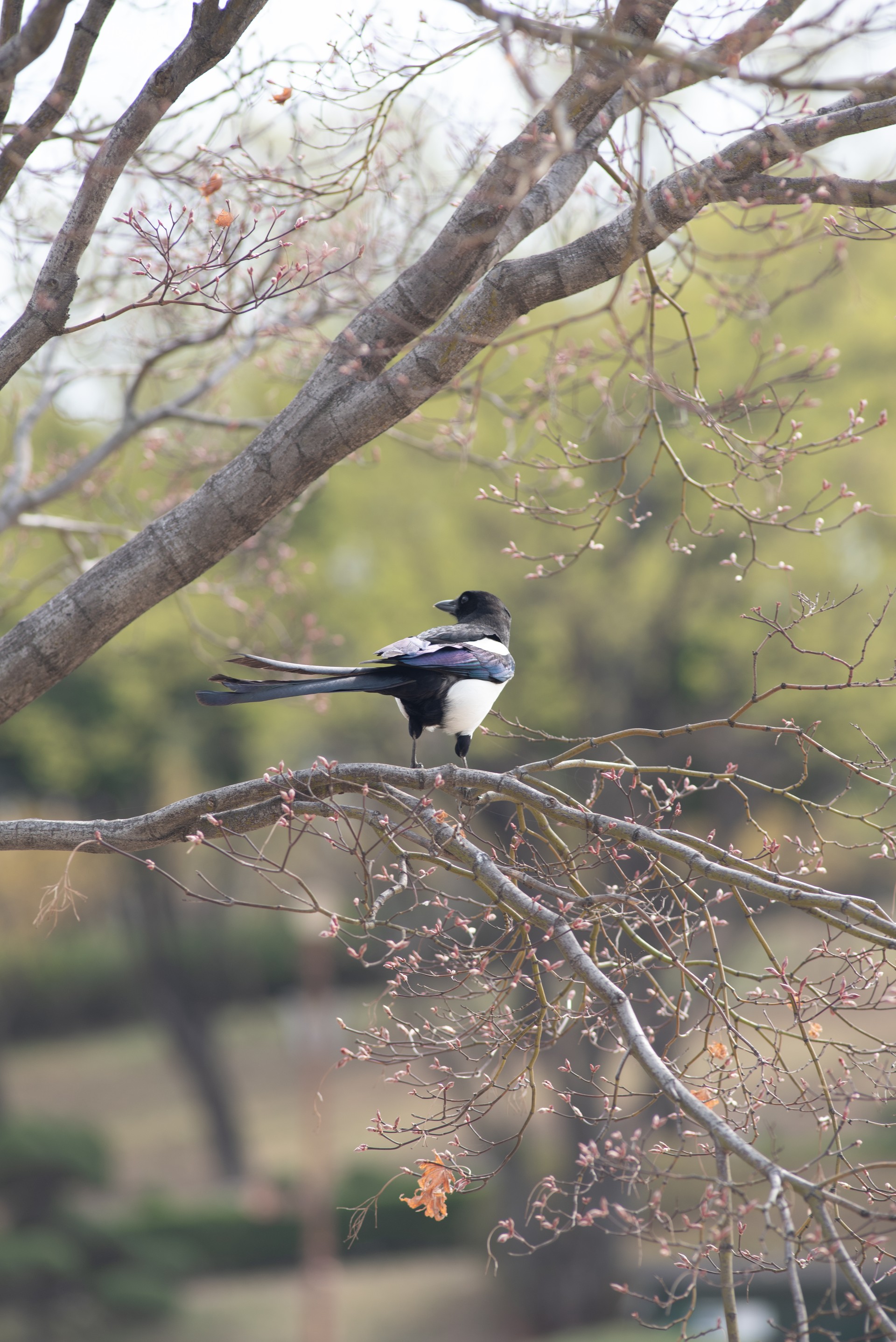 사진작가가 꿈인 사람이 찍은 사진✌🏻
