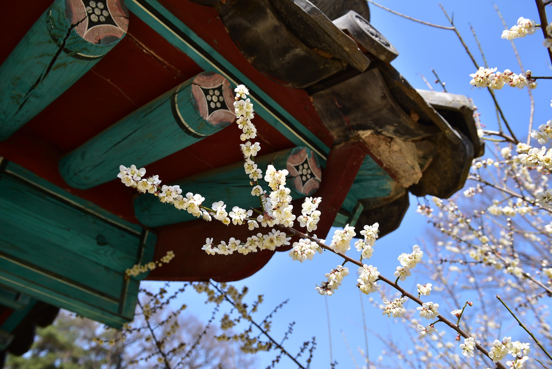 사진작가가 꿈인 사람이 찍은 사진✌🏻