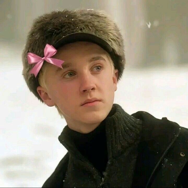 말포이 짤 배포