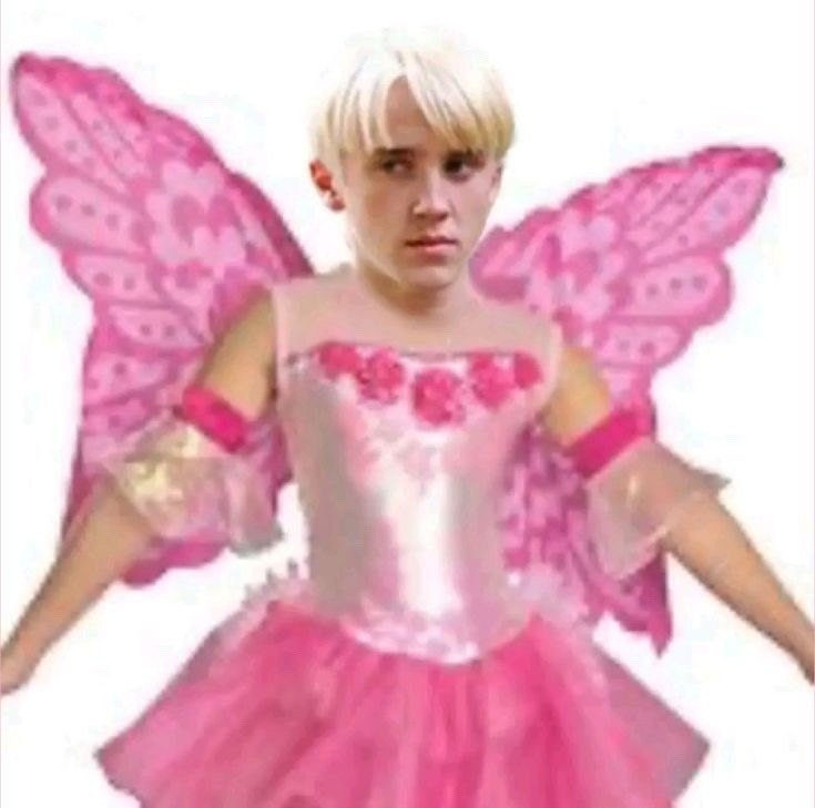 말포이 짤 배포