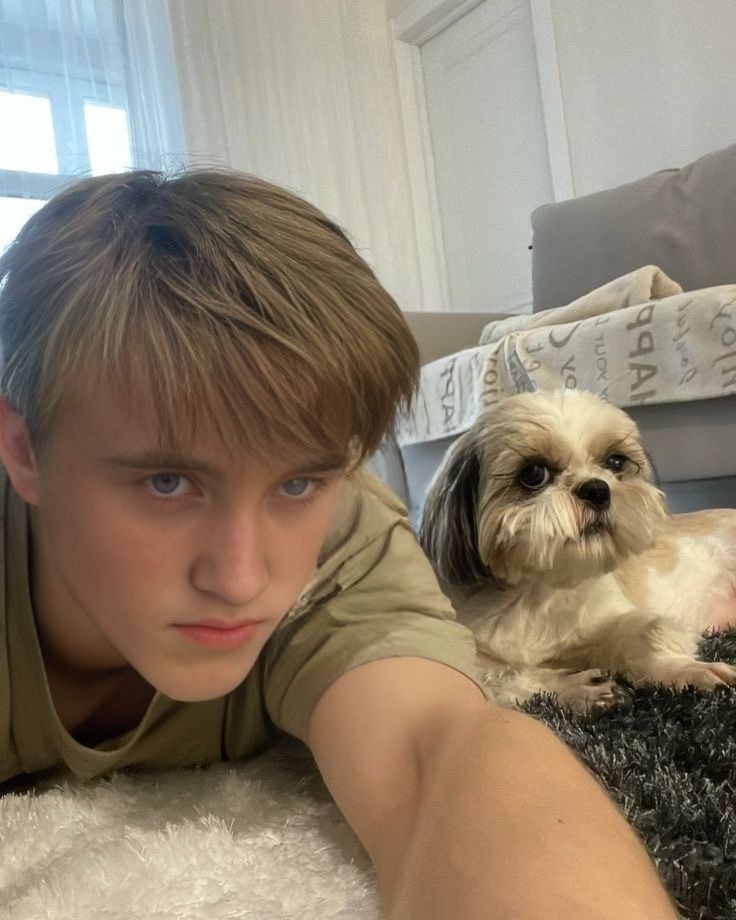 말포이 짤 배포