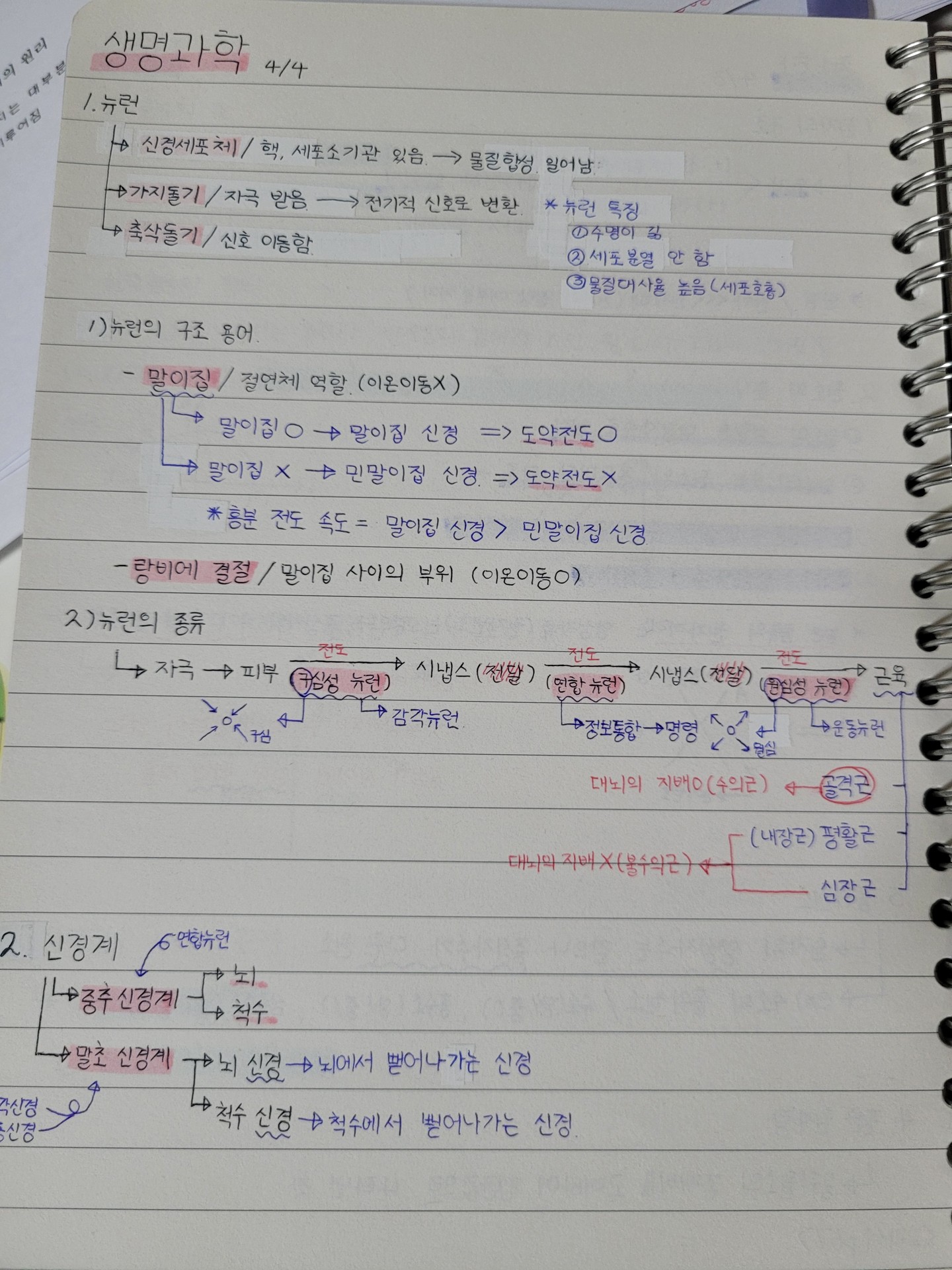 생명 노트정린데... 막 어지럽게 정리되어 있어?