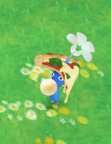 사진 가져가세요