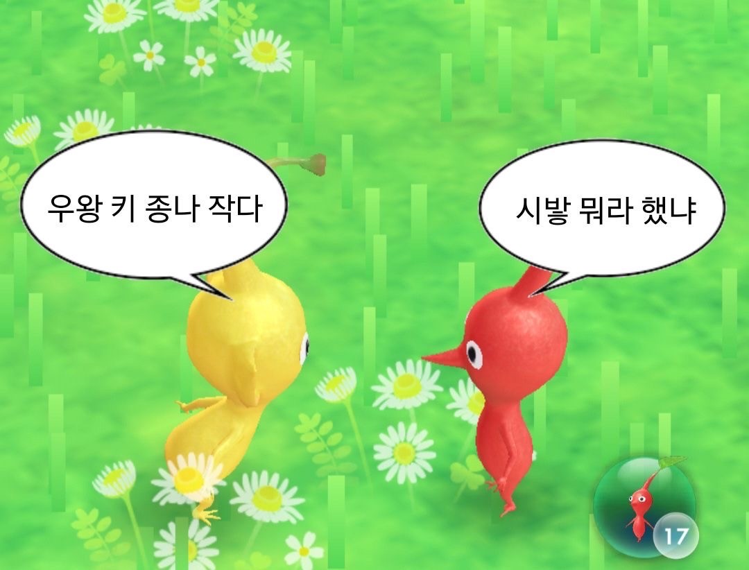 사진 가져가세요