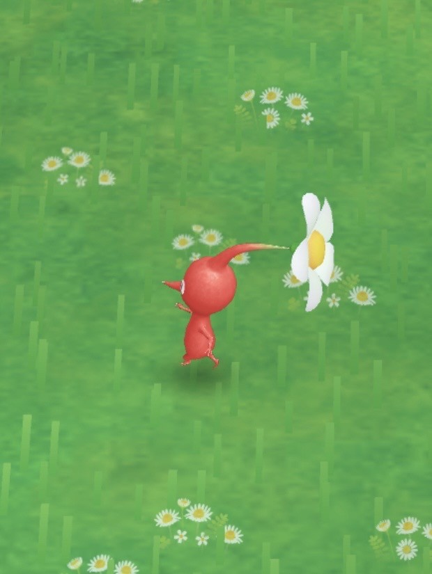 사진 가져가세요