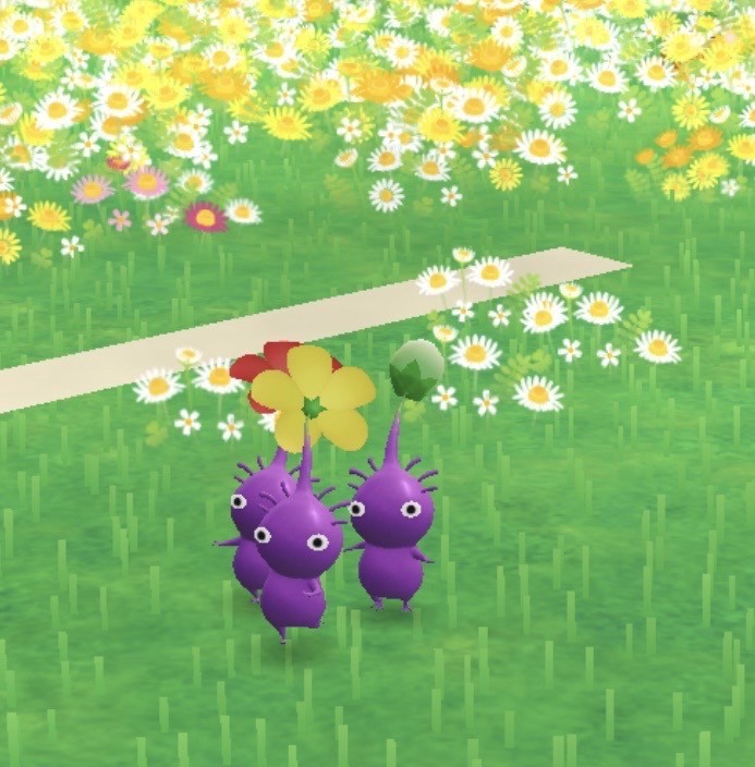 사진 가져가세요