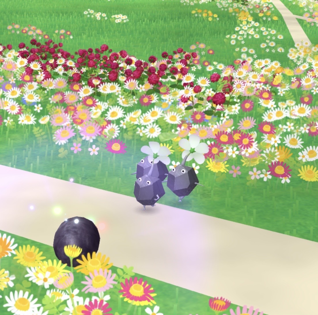 사진 가져가세요