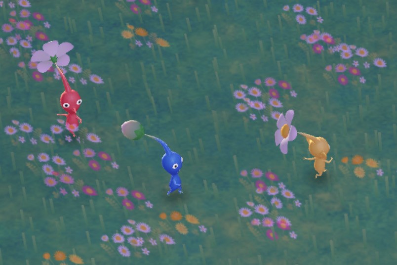 사진 가져가세요