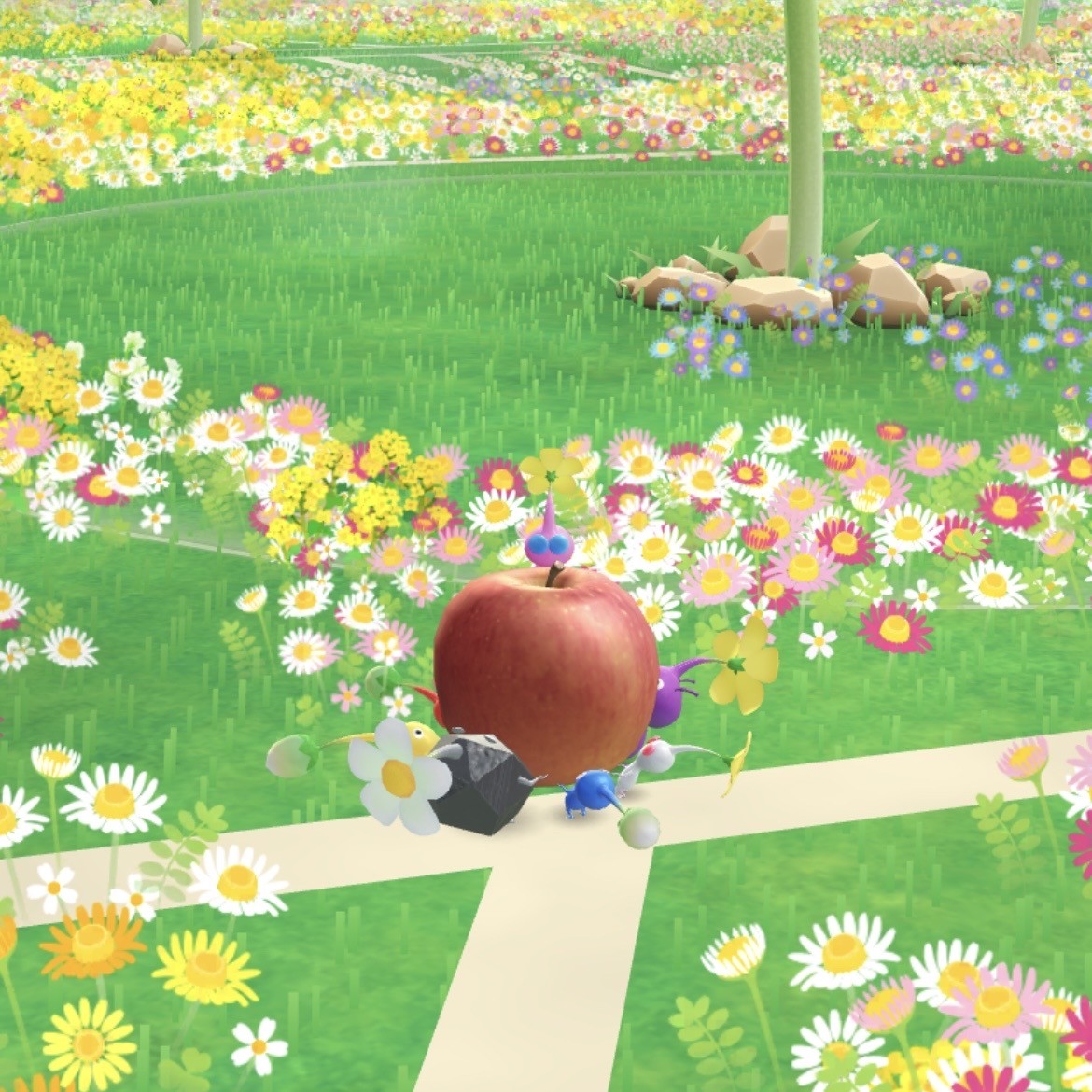 사진 가져가세요