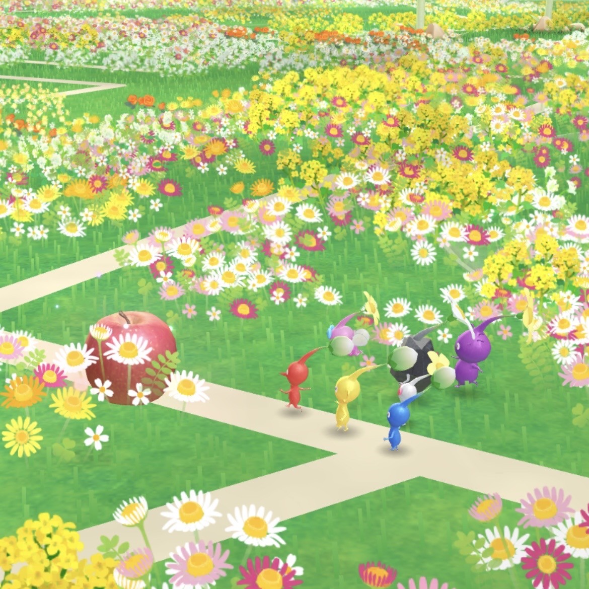 사진 가져가세요