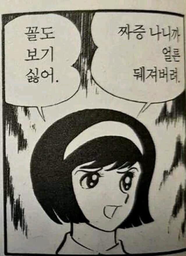 시험기간짤